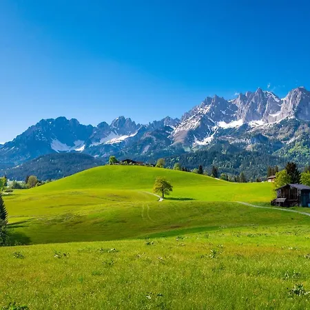 Kitzhorn